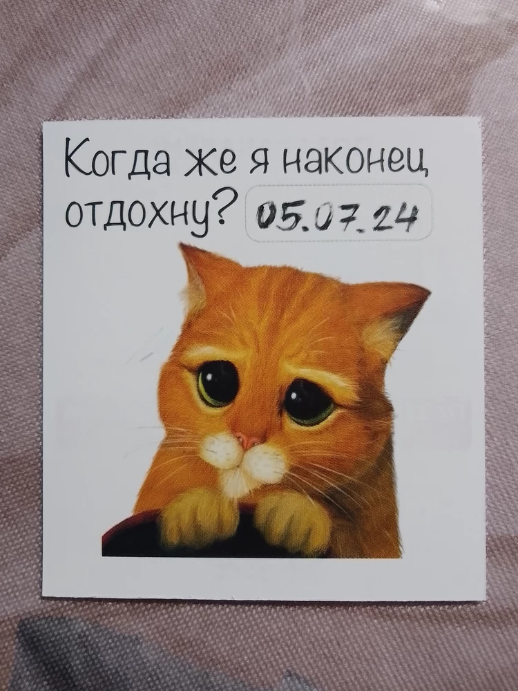 Хорошие наушники, для своей цены отличный звук. Единственное – когда заказывала в первый раз, на левой стороне не работали басы. Написала в гарантийный отдел – прислали новые) 
За годовой гарантийный талон спасибо, нигде в вб ещё не встречала такого