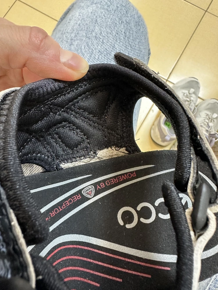 Неужели это оригинальные экко?