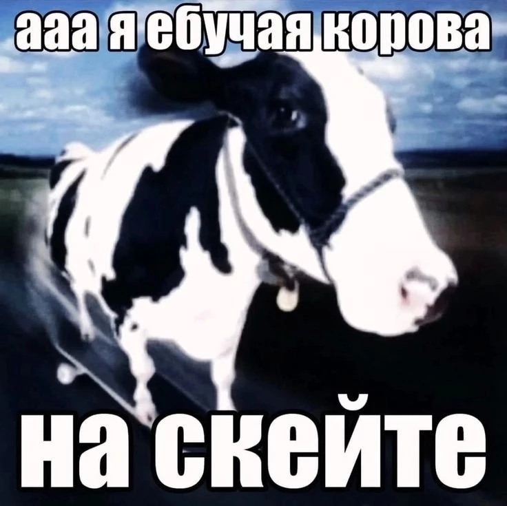 нормально, на рост 187 пойдёт. пахнут едко немного и нитки торчат почти везде