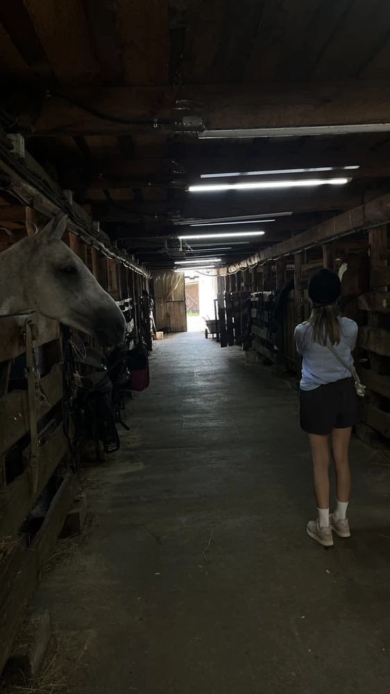 Хорошие, качественные