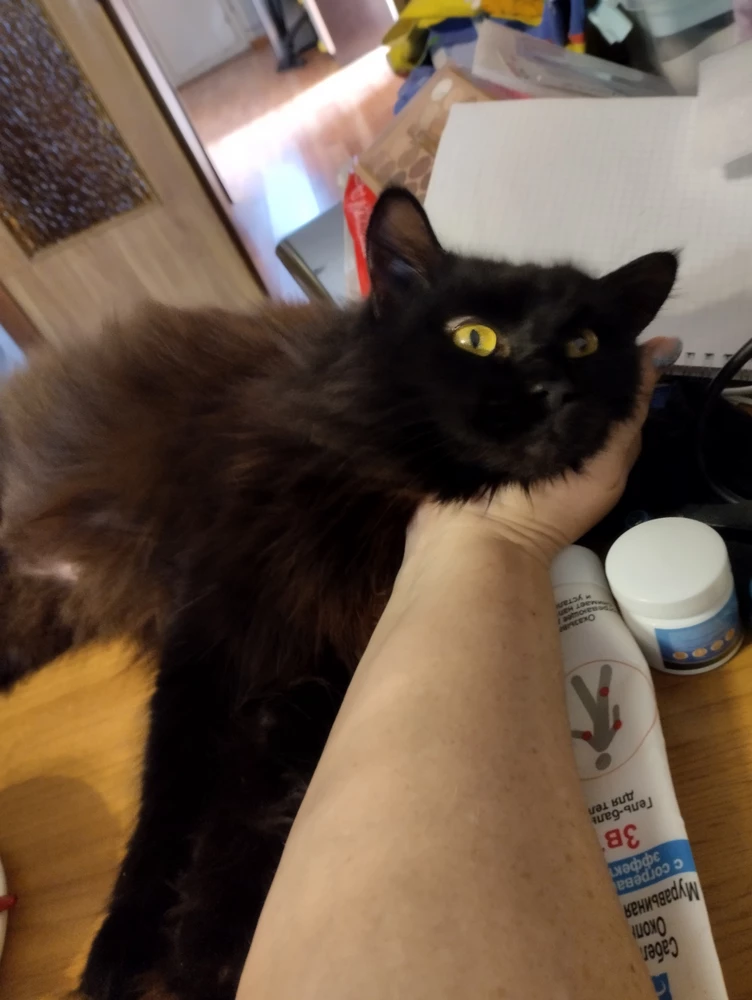 Кошке сразу понравился. Перешли с натуралки из-за аллергии на курицу. По составу корм нам подходит.
Сразу перестала чесаться. Зажили все болячки.