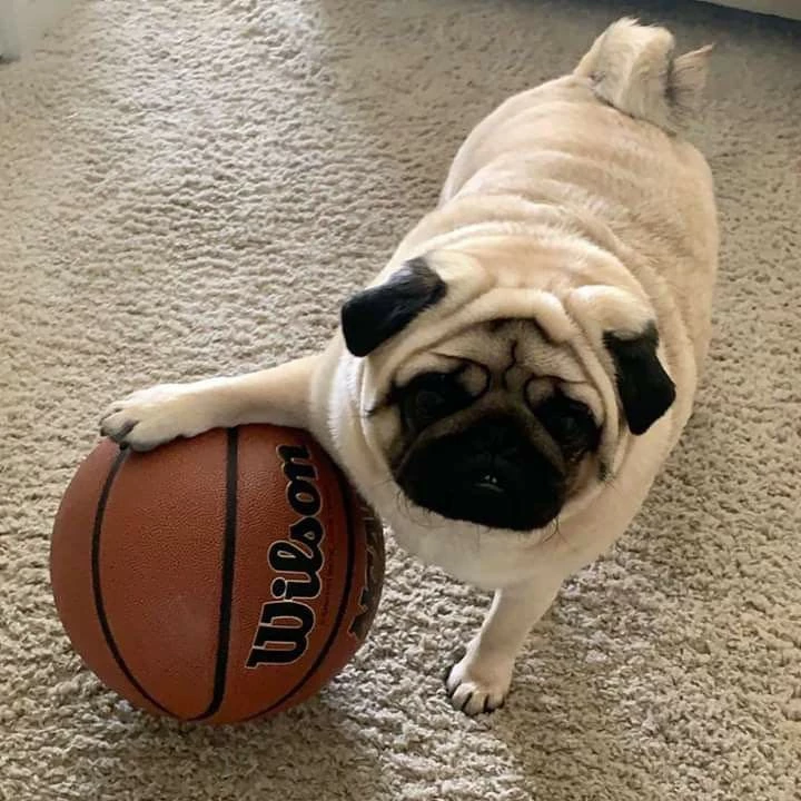 неплохая такая