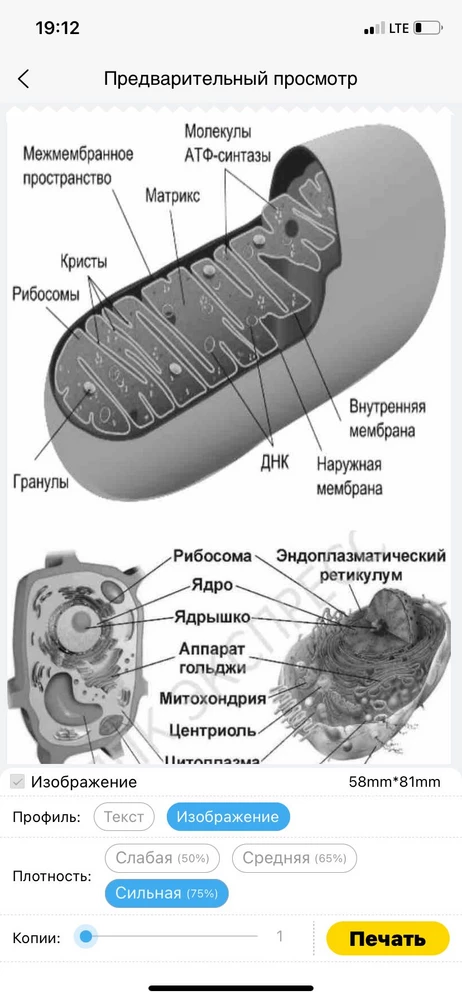 очень дрвольна данным принером, сначала не понимала, как пользоваться, уделила 10 минут, разобралась, все шикарно, спасибо!❤️‍🔥