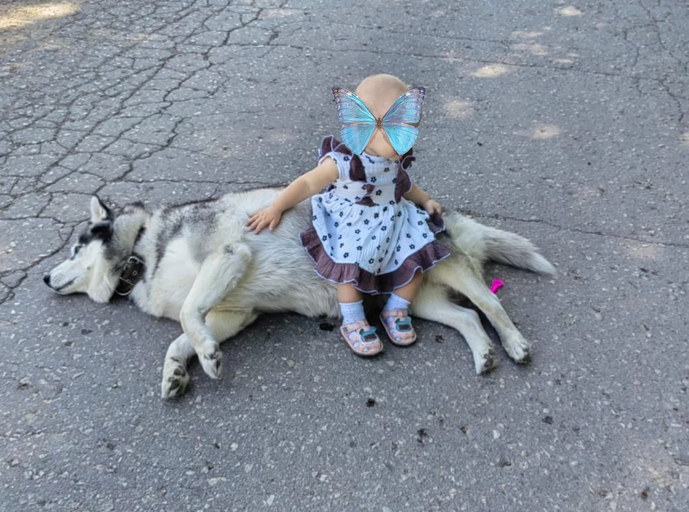 Замечательное платьице,после стирки ничего не изменилось.Внученьке 1 год,рост 76 см немного большевато.Это хорошо,поносит и в следующем году.В нем она как настоящая барышня