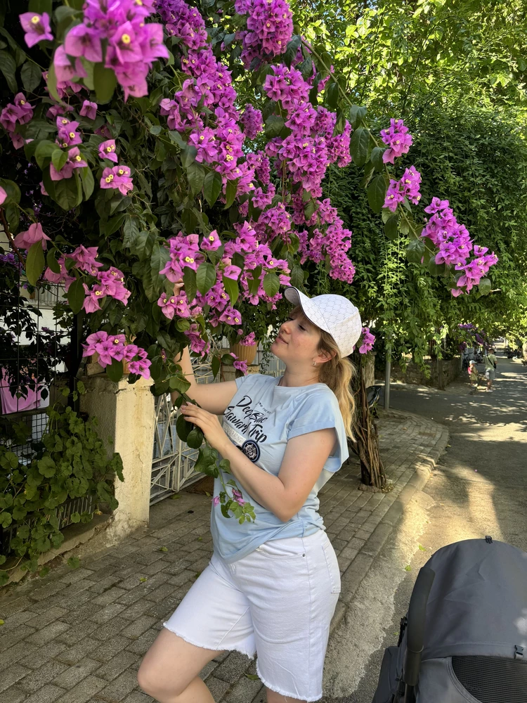 Без комментариев