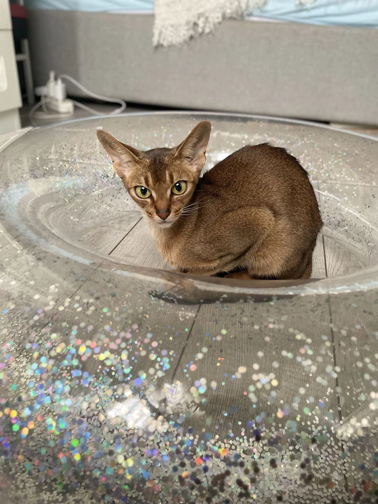 Отлтчный и очерь красивый круг, проверяла , за три дня не сдулся