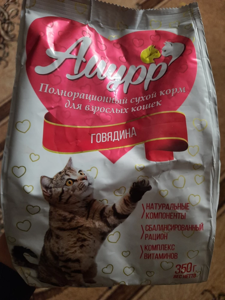 Кошке очень понравился👍