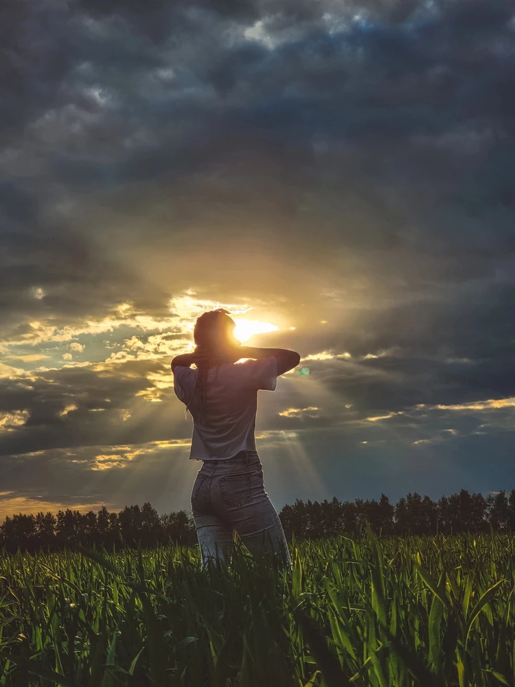 Без комментариев