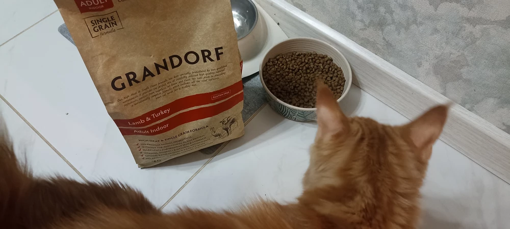 Коты едят с удовольствием. Заводчица давала royal canin, на этот корм перешли очень быстро, котикам понравился.