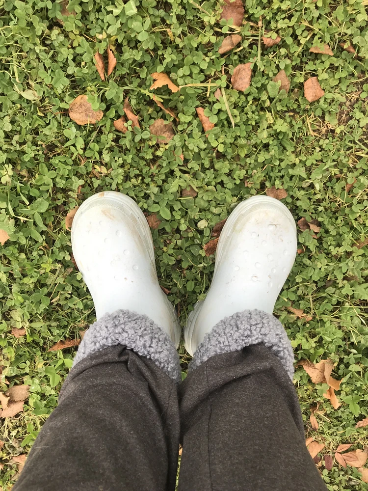 Не знаю, ходила бы я в них в городе, но у себя на участке я в них бегаю с превиликим удовольствием. Заказала дочери бежевые.