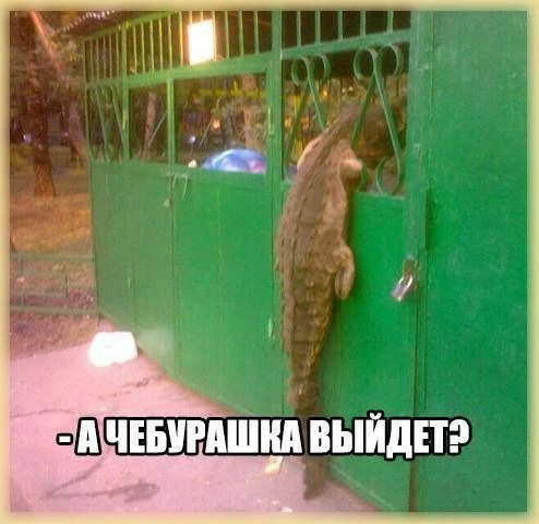 Я в восторге