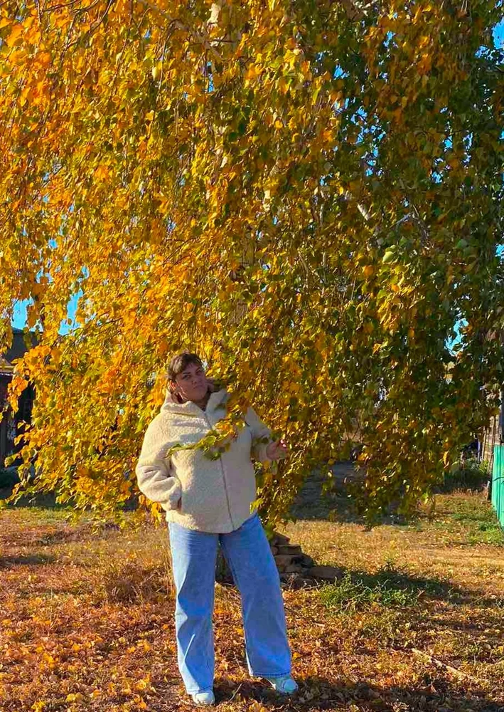 Без комментариев