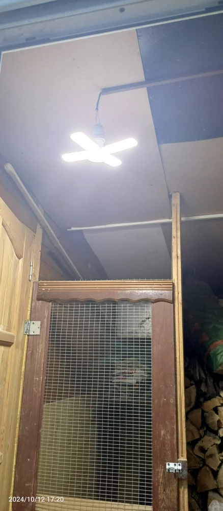 Без комментариев