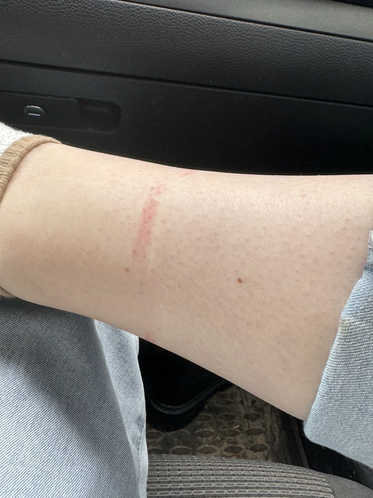 Без комментариев