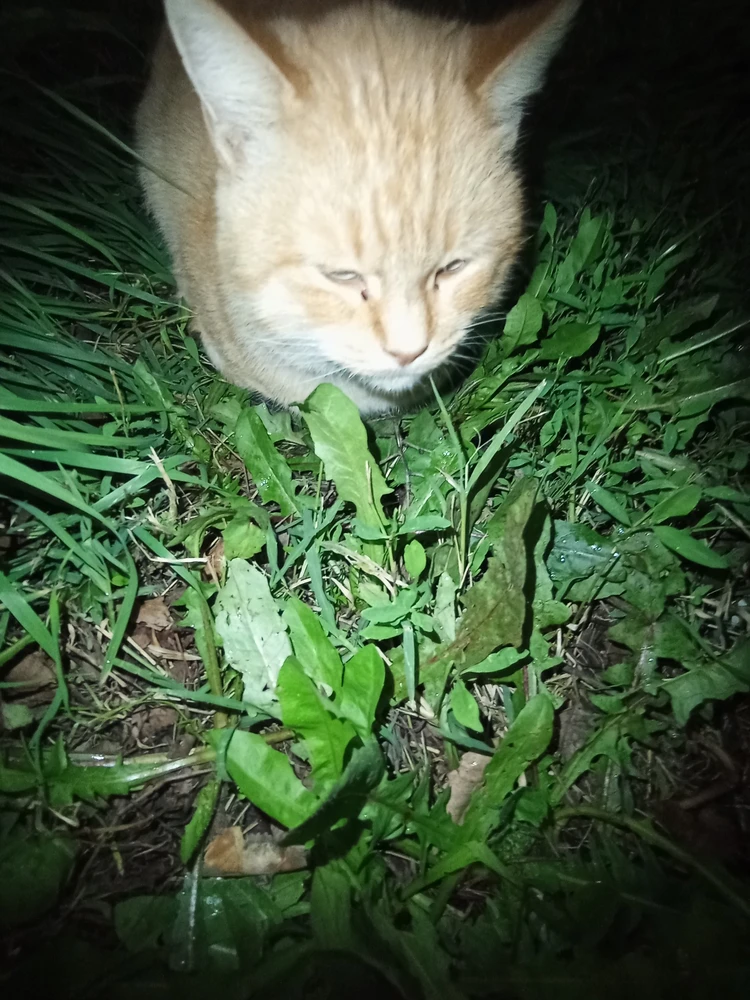 Без комментариев