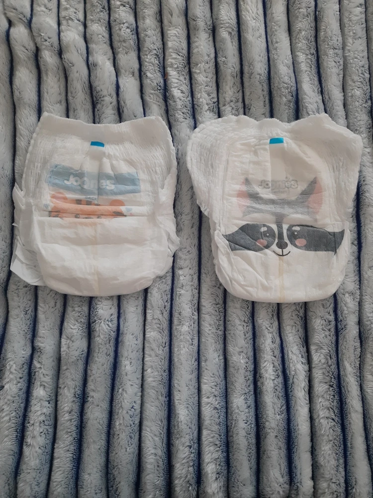 С енотов размер М,с тигром размер L