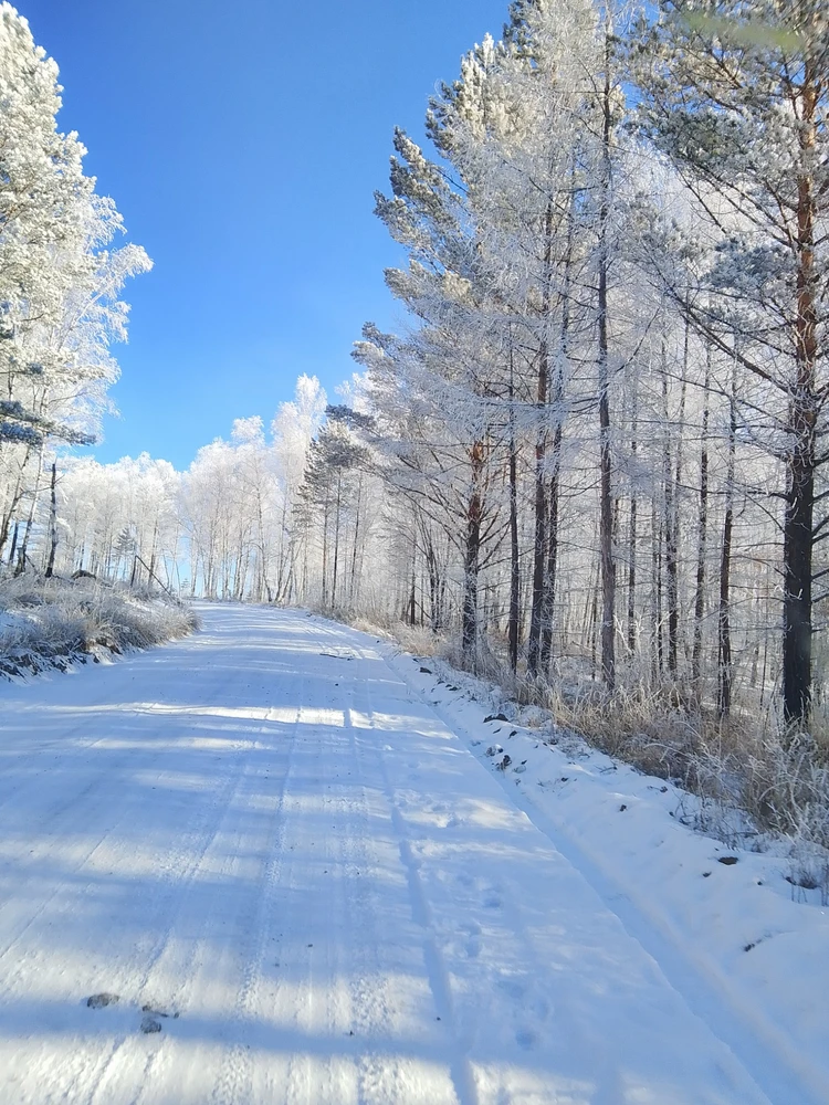 Без комментариев