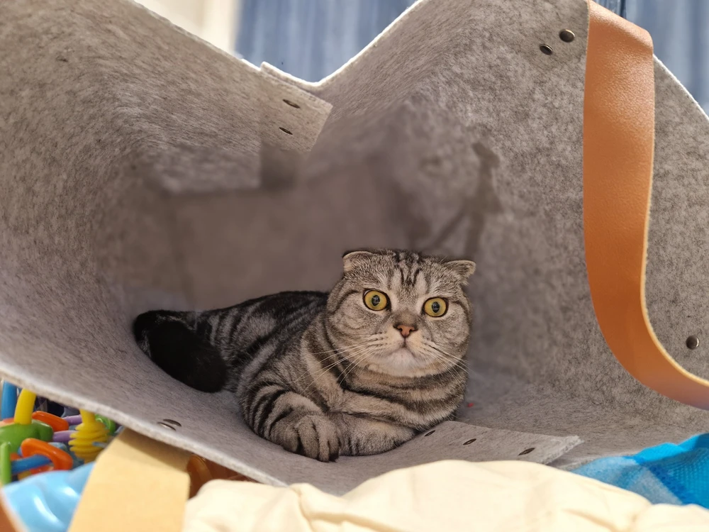 Главное нашему коту нравится))) А для игрушек придётся другую заказывать)))