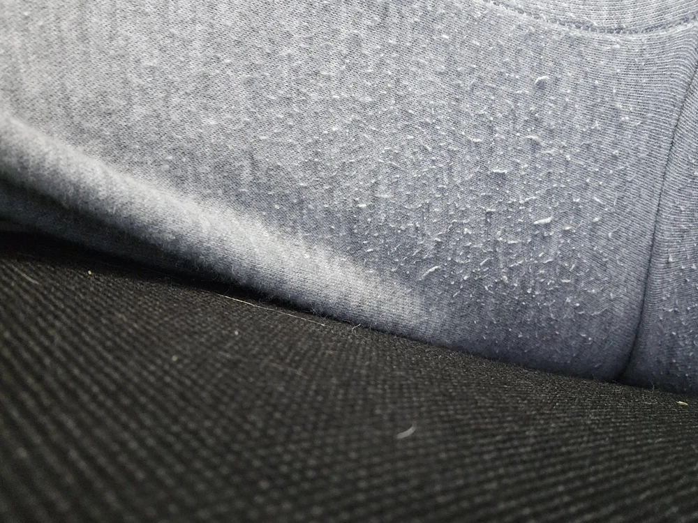 Забрала с ВБ и сразу одела. Но потом заметила, что на одном кармане просто не хватило ткани до строчки и он дырявый 🤦🏼‍♀️ После одного дня носки на ткани между ног появилось много катышек. И это я их еще не стирала ни разу... потом дополню отзыв.