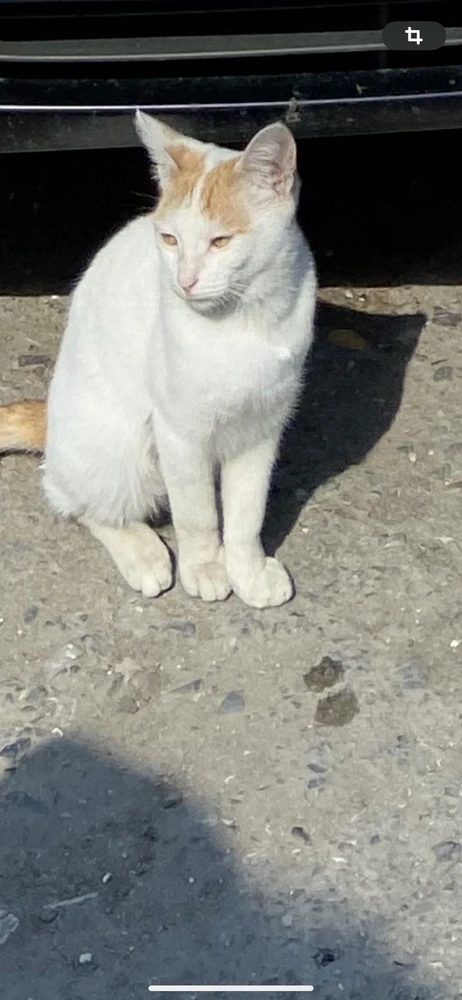 Без комментариев