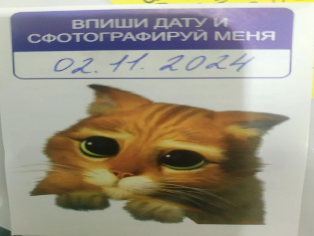 Брали в подарок на др, дочка в восторге. Всё работает, настроили быстро.